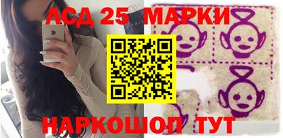 индика Шелехов