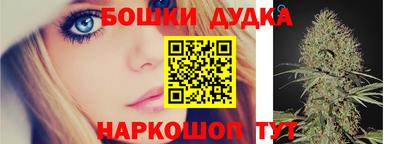 прущие крисы Шахты