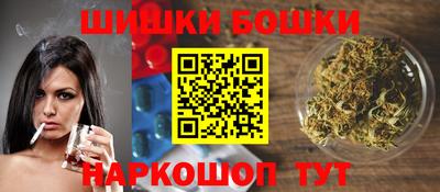 индика Шелехов