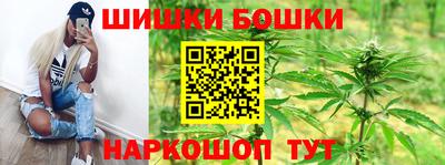 индика Шелехов