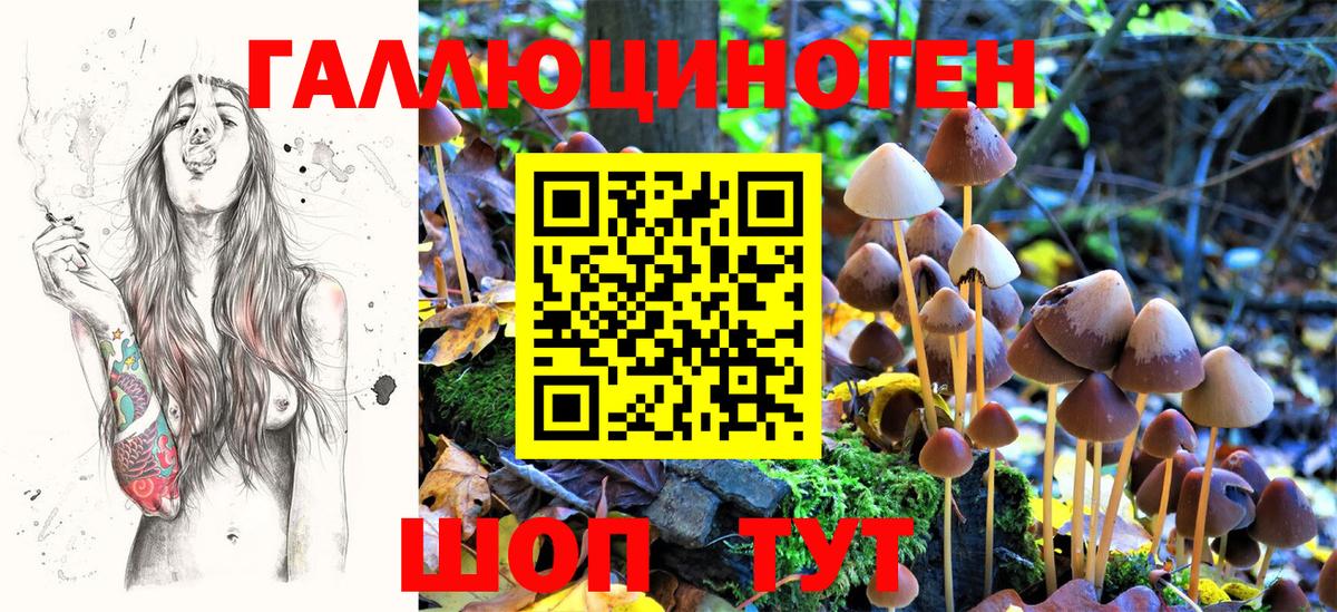 что такое   Вход с VPN  Гусев  Галлюциногенные грибы ЛСД 