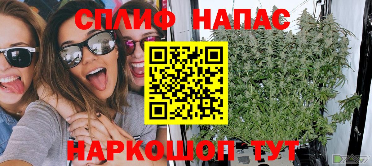 Бошки Шишки OG Kush Гусев